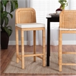 Pemberly Row Bohemian Natural Brown Rattan and Mahogany Wood Bar Stool