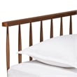 Pemberly Row Modern Ash Walnut Finished Wood Twin Size Daybed