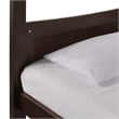 Pemberly Row Transitional Twin Over Twin Bunk Bed in Espresso