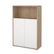 Pemberly Row Set of 2 Desk with 5-Drawers & 3-Shelf Adjustable Bookcase