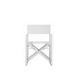 Pemberly Row Aluminum Patio Directors Chairs in White (Set of 2)