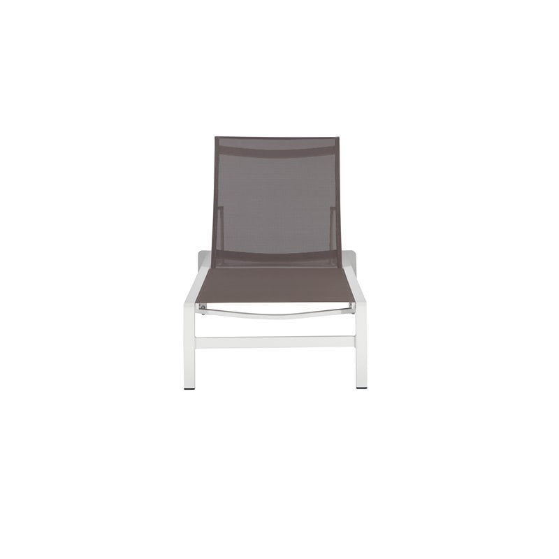 Pemberly Row Modern Aluminum Frame Patio Loungers in Gray (Set of 2)