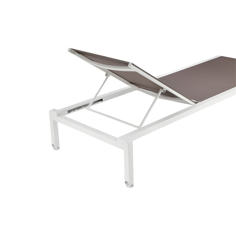 Pemberly Row Modern Aluminum Frame Patio Loungers in Gray (Set of 2)