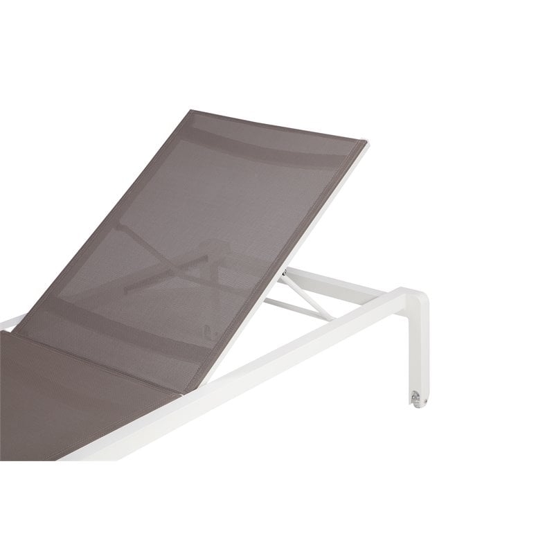 Pemberly Row Modern Aluminum Frame Patio Loungers in Gray (Set of 2)