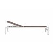 Pemberly Row Modern Aluminum Frame Patio Loungers in Gray (Set of 2)