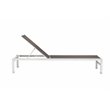 Pemberly Row Modern Aluminum Frame Patio Loungers in Gray (Set of 2)