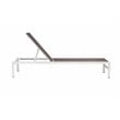 Pemberly Row Modern Aluminum Frame Patio Loungers in Gray (Set of 2)