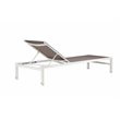 Pemberly Row Modern Aluminum Frame Patio Loungers in Gray (Set of 2)