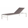 Pemberly Row Modern Aluminum Frame Patio Loungers in Gray (Set of 2)
