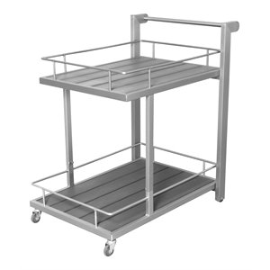 Pemberly Row Modern Aluminum Outdoor Trolley in Gray Frame/Polyresin