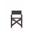 Pemberly Row Aluminum Patio Directors Chairs in Black (Set of 2)
