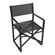 Pemberly Row Aluminum Patio Directors Chairs in Black (Set of 2)