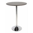 Pemberly Row Modern Wood Veneer & Polished Steel Dining Table in Espresso