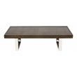 Pemberly Row Modern Wood Veneer & Polished Steel Coffee Table in Espresso