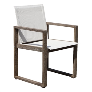 Pemberly Row 34&quot Modern Eucalyptus Wood Arm Chairs in Brown (Set of 4)