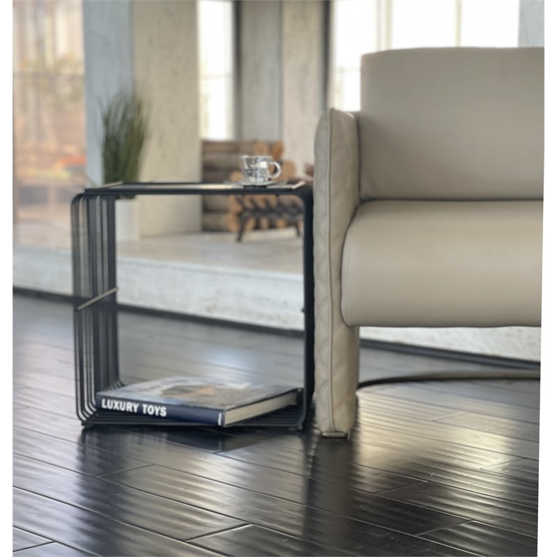 Pemberly Row Modern Metal Side Table with A Tray Top in Black