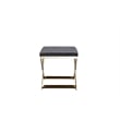 Pemberly Row Contemporary Stool Velvet Chocolate Fabric & Gold Frame