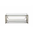 Pemberly Row Metal Rectangle Coffee Table with Glass in Brushed Brass