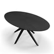Pemberly Row Modern / Contemporary Wood Oval Coffee Table in Black