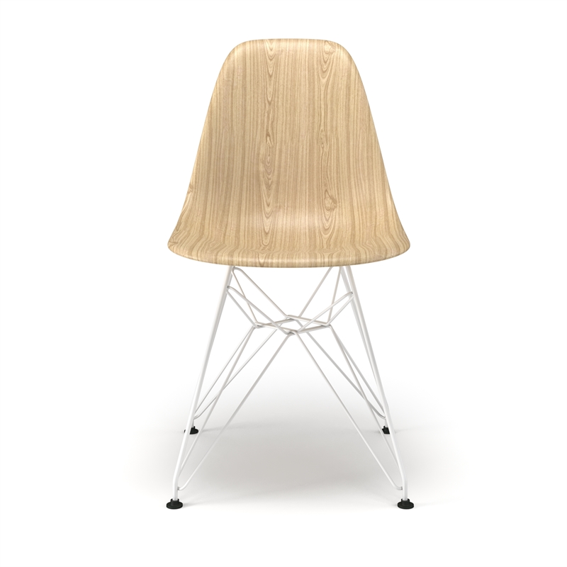 Pemberly Row Modern Printed Side Chairs (Set of 2) in Natural