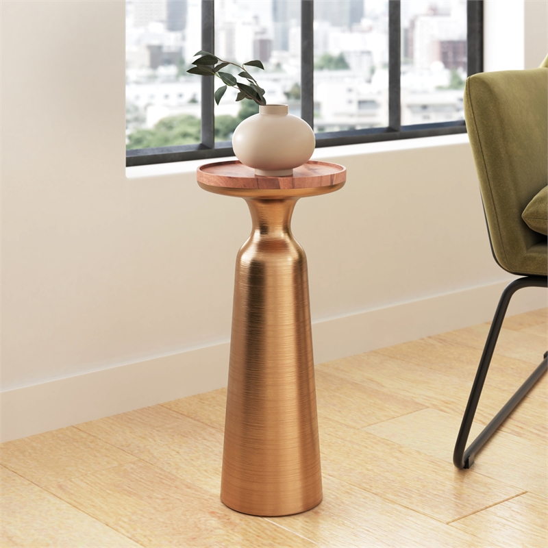 Pemberly Row Modern / Contemporary Wood Side Table in Gold Finish