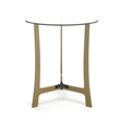 Pemberly Row Modern / Contemporary Glass Side Table in Gold Finish