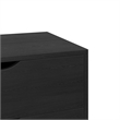 Pemberly Row Modern / Contemporary Wood 2-Drawer Nightstand in Black
