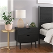 Pemberly Row Modern / Contemporary Wood 2-Drawer Nightstand in Black