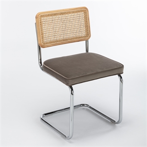 Pemberly Row Cane Back Velvet Side Chair (Set of 2) in Silver