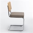 Pemberly Row Cane Back Velvet Side Chair (Set of 2) in Silver