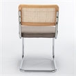 Pemberly Row Cane Back Velvet Side Chair (Set of 2) in Silver