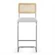 Pemberly Row Cane Back Fabric Bar Height Stool (Set of 2) in White