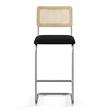 Pemberly Row Cane Back Fabric Bar Height Stool (Set of 2) in Black