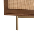 Pemberly Row Solid Wood with Natural Woven Cane TV Stand in Walnut