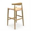 Pemberly Row Contemporary Papercord Bar Height Stool in Natural