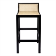 Pemberly Row Counter Height Stool with Natural Cane in Black