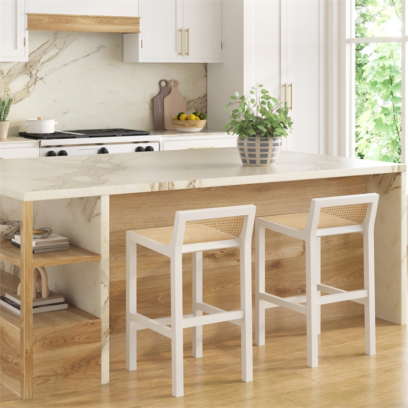 Pemberly Row Counter Height Stool with Natural Cane in White