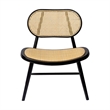 Pemberly Row Solid Wood with Natural Cane Side Chairs (Set of 2) in Black