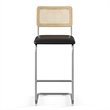 Pemberly Row Cane Back Vegan Leather Bar Height Stool (Set of 2) in Black