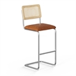 Pemberly Row Cane Back Vegan Leather Bar Height Stool (Set of 2) in Brown