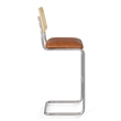 Pemberly Row Cane Back Vegan Leather Bar Height Stool (Set of 2) in Brown