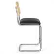 Pemberly Row Cane Back Vegan Leather Counter Height Stool (Set of 2) in Black