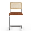 Pemberly Row Cane Back Vegan Leather Counter Height Stool (Set of 2) in Brown