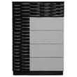 Pemberly Row 5-Drawer Poplar Wood Bedroom Chest in Black/Zebra