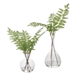 Pemberly Row Polyester Plastic Iron and Glass Ferns in Green (Set of 2)
