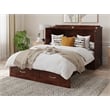 Pemberly Row Murphy Modern Wood Full Bed Chest with Mattress in Walnut