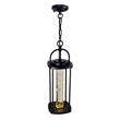 Pemberly Row 1 Light Farmhouse Metal LED Outdoor Pendant in Black