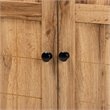 Pemberly Row Oak Brown Finished Wood 2-Door Shoe Storage Cabinet
