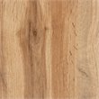 Pemberly Row Oak Brown Finished Wood 2-Door Shoe Storage Cabinet