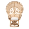 Pemberly Row Modern Bohemian Natural Brown Rattan Peacock Accent Chair